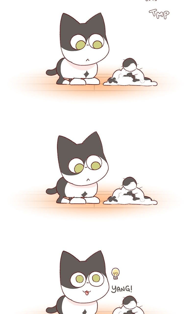 Saphie: The One-Eyed Cat Chapter 181 page 4 - Chapter 181