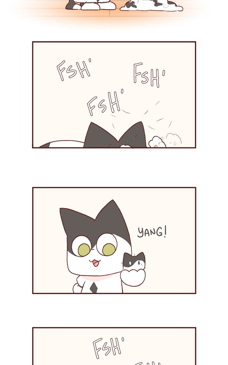 Saphie: The One-Eyed Cat Chapter 181 page 5 - Chapter 181