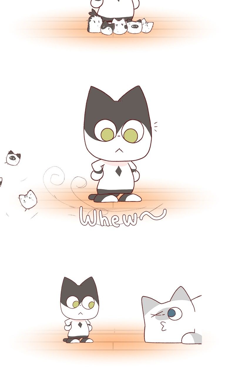 Saphie: The One-Eyed Cat Chapter 181 page 8 - Chapter 181