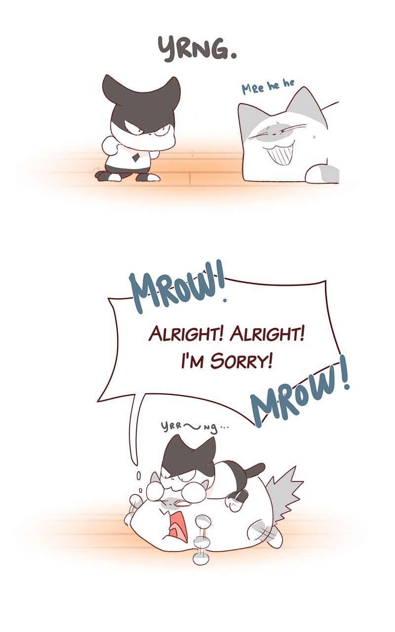 Saphie: The One-Eyed Cat Chapter 181 page 9 - Chapter 181