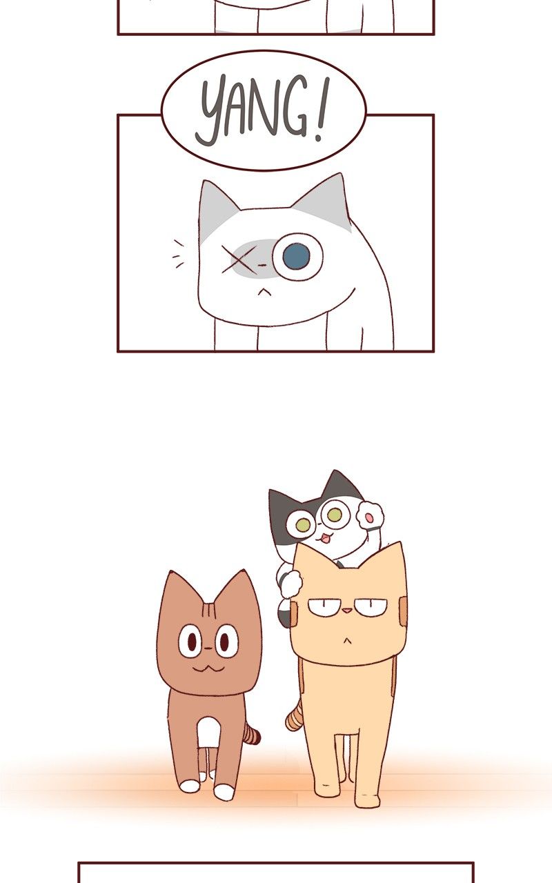 Saphie: The One-Eyed Cat Chapter 183 page 5 - Chapter 183