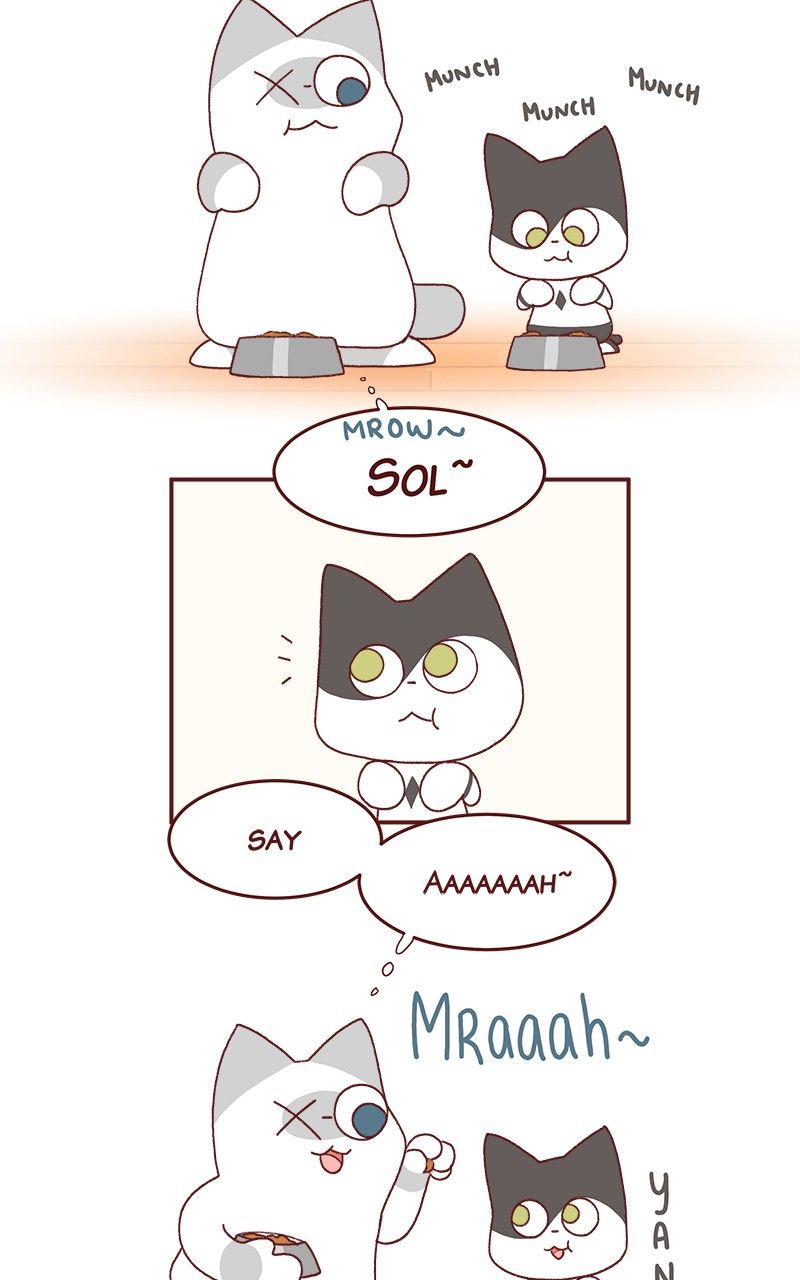 Saphie: The One-Eyed Cat Chapter 184 page 2 - Chapter 184