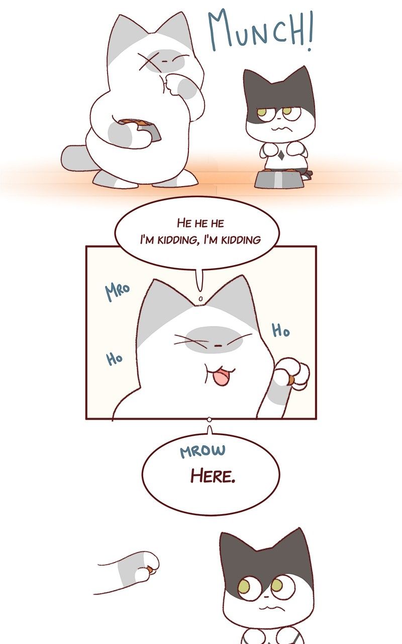 Saphie: The One-Eyed Cat Chapter 184 page 4 - Chapter 184