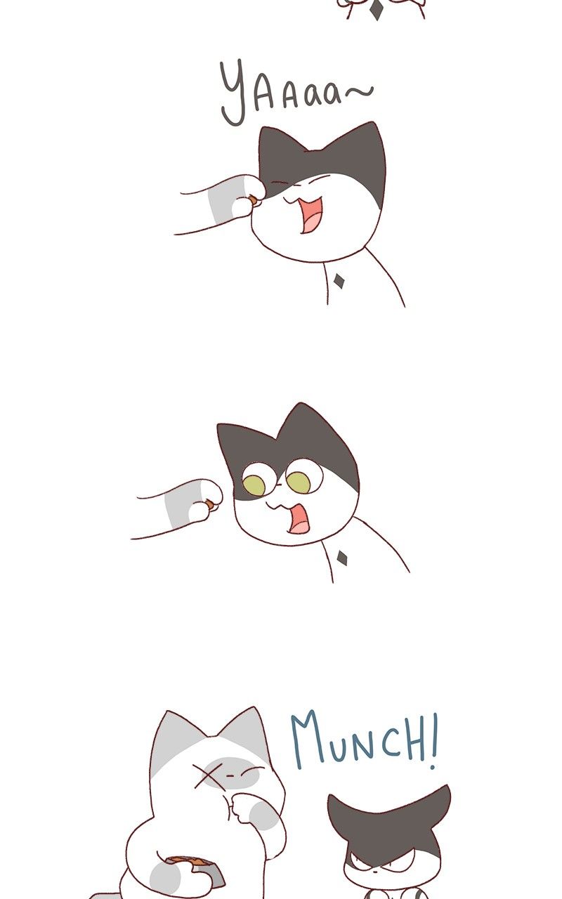 Saphie: The One-Eyed Cat Chapter 184 page 5 - Chapter 184