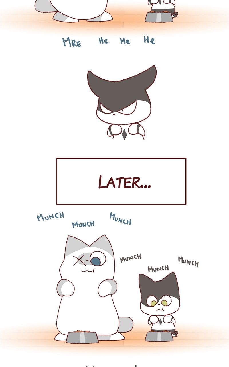 Saphie: The One-Eyed Cat Chapter 184 page 6 - Chapter 184