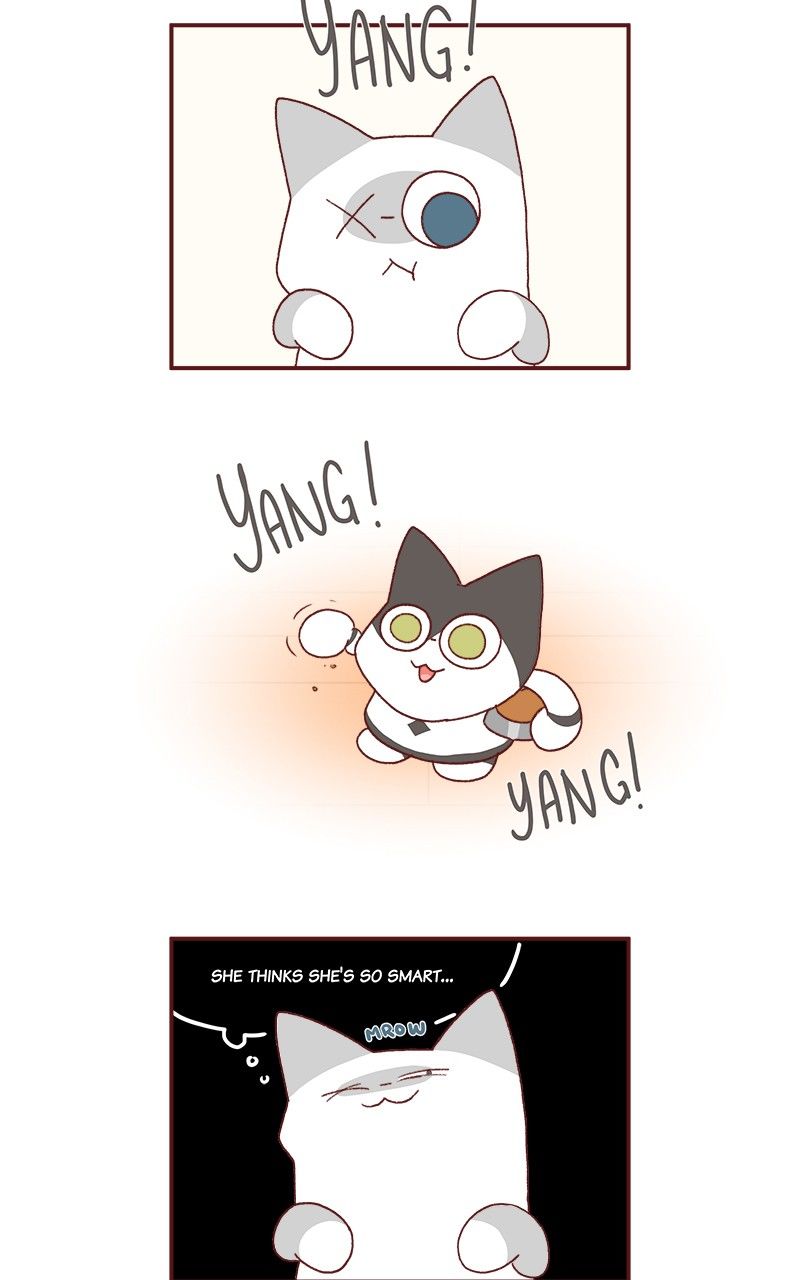 Saphie: The One-Eyed Cat Chapter 184 page 7 - Chapter 184