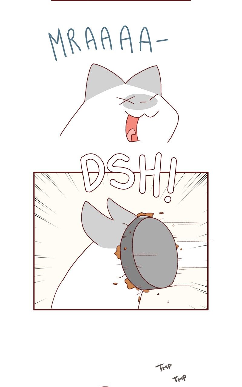 Saphie: The One-Eyed Cat Chapter 184 page 8 - Chapter 184