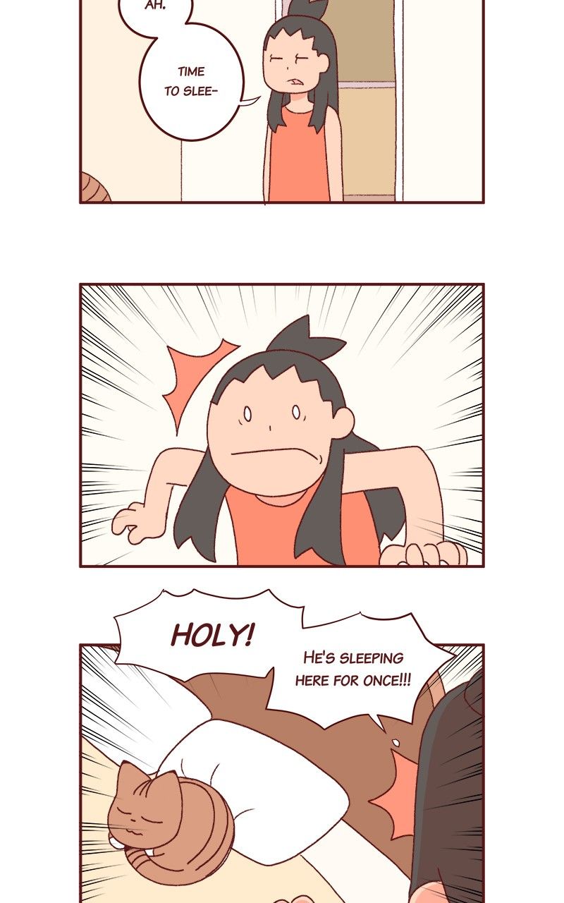 Saphie: The One-Eyed Cat Chapter 185 page 2 - Chapter 185