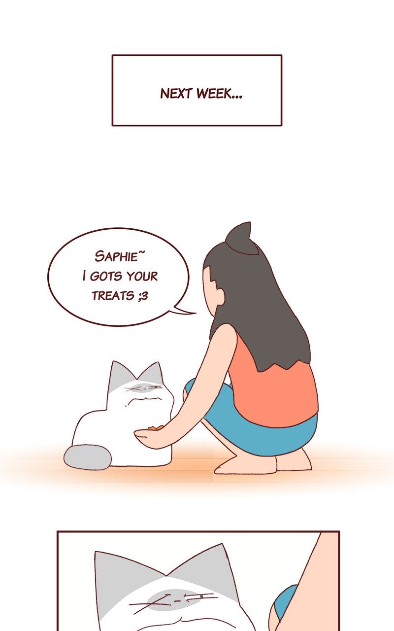 Saphie: The One-Eyed Cat Chapter 186 page 11 - Chapter 186