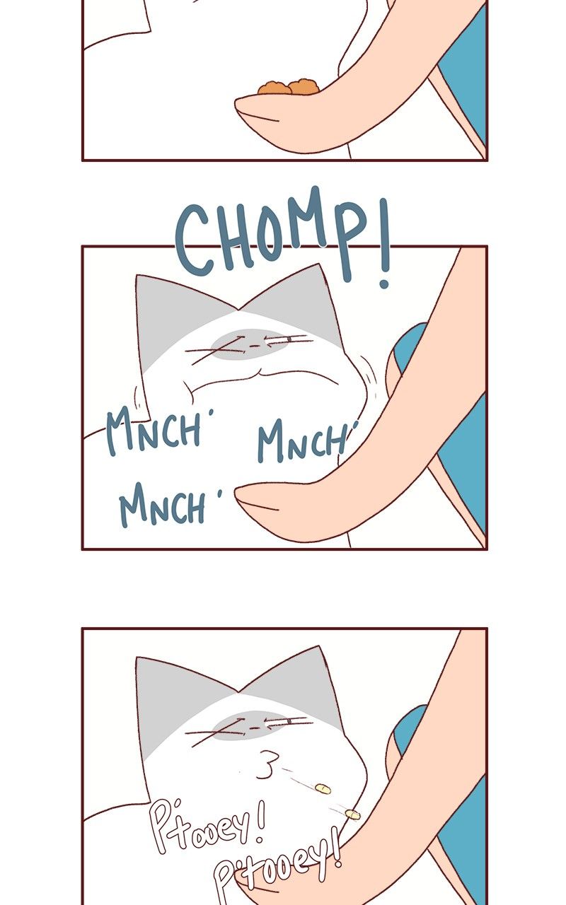Saphie: The One-Eyed Cat Chapter 186 page 12 - Chapter 186