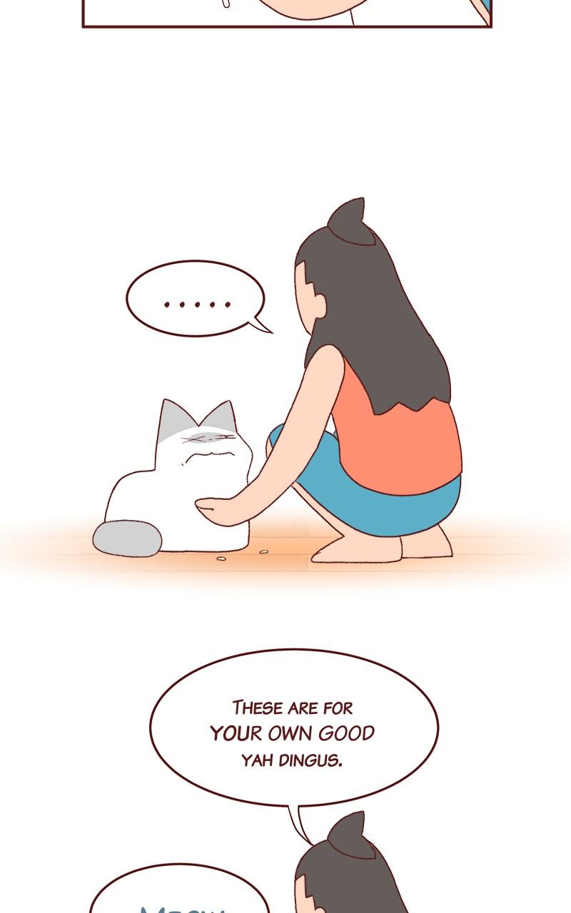 Saphie: The One-Eyed Cat Chapter 186 page 13 - Chapter 186