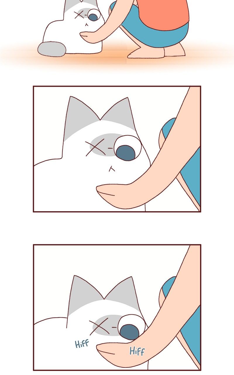 Saphie: The One-Eyed Cat Chapter 186 page 3 - Chapter 186