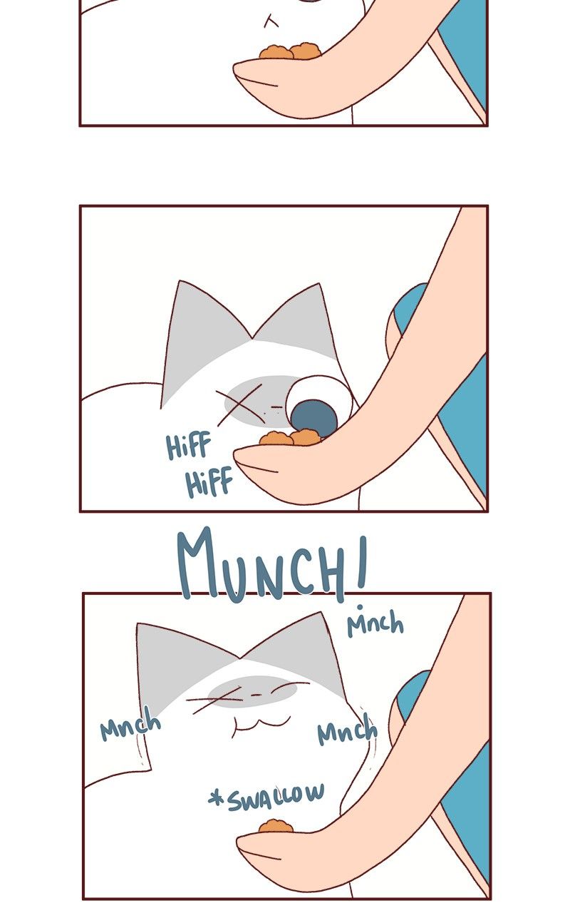 Saphie: The One-Eyed Cat Chapter 186 page 7 - Chapter 186