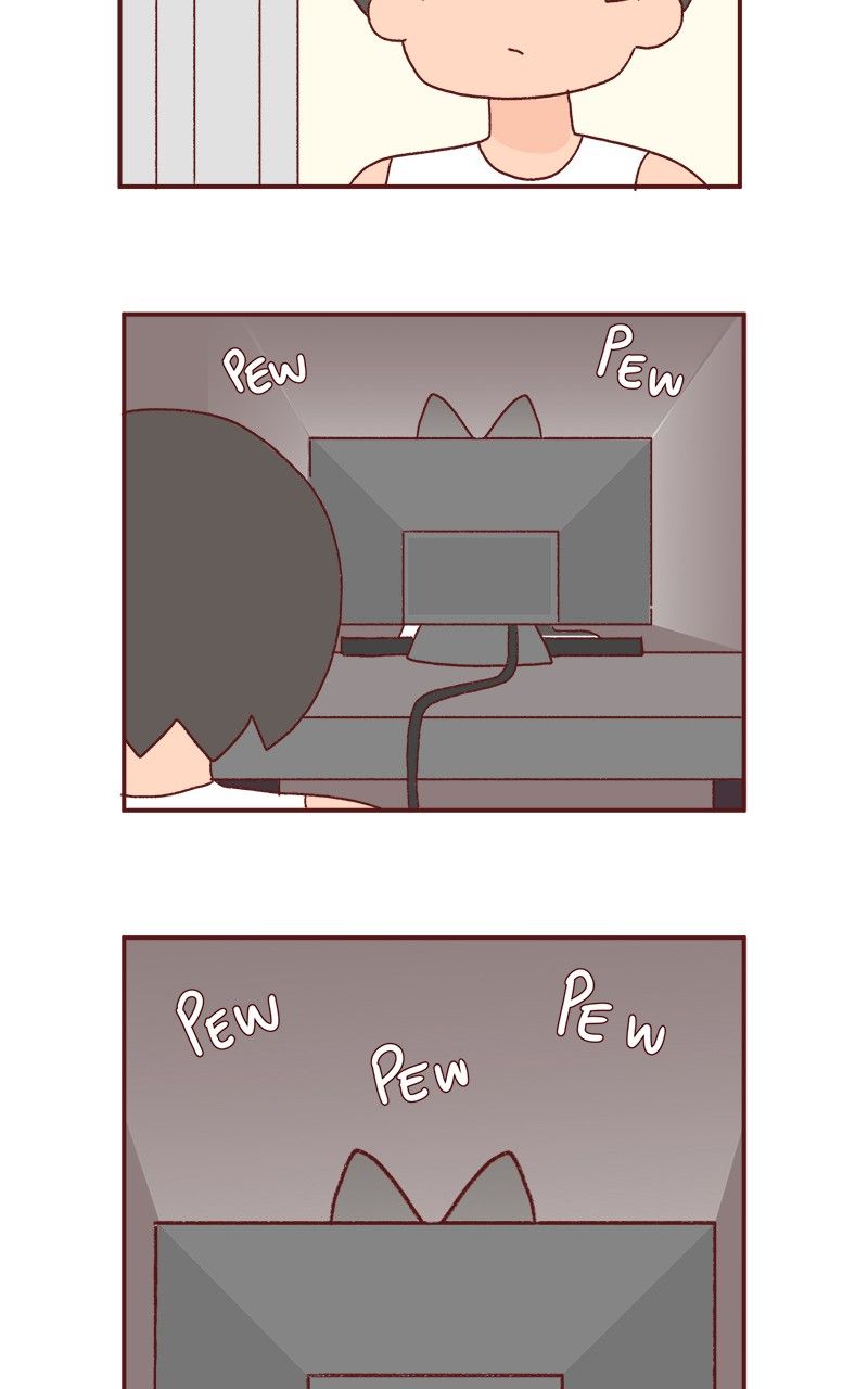 Saphie: The One-Eyed Cat Chapter 187 page 4 - Chapter 187