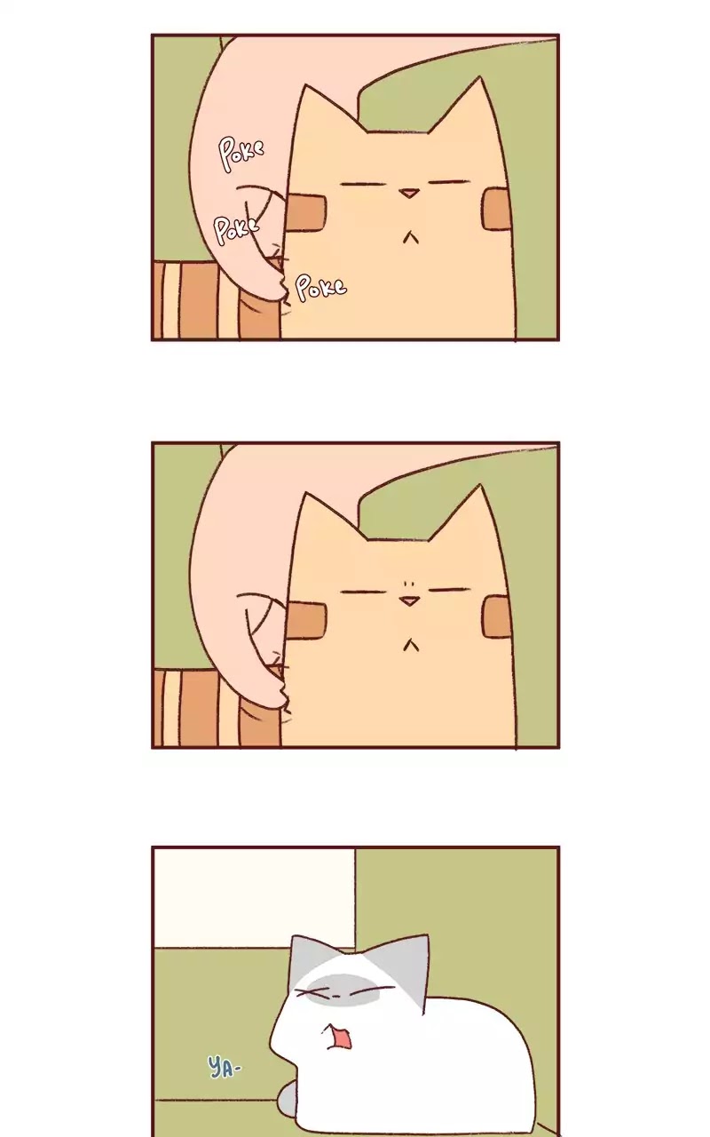 Saphie: The One-Eyed Cat Chapter 188 page 3 - Chapter 188: Frame the Annoyance