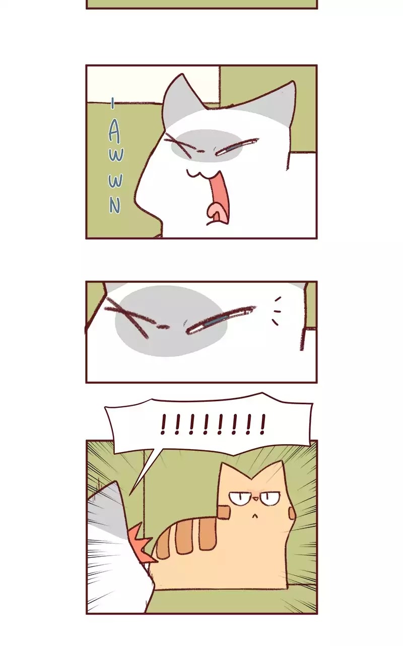 Saphie: The One-Eyed Cat Chapter 188 page 4 - Chapter 188: Frame the Annoyance