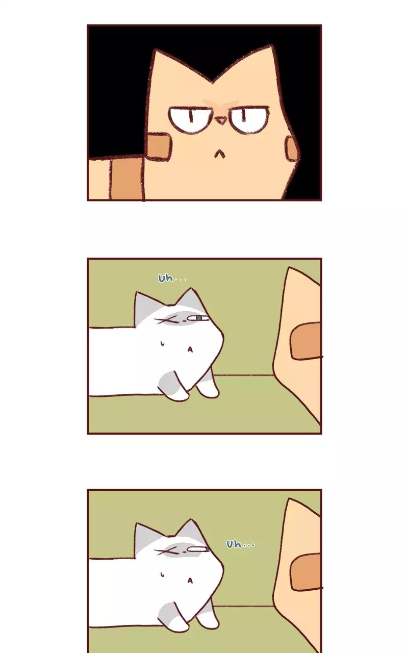 Saphie: The One-Eyed Cat Chapter 188 page 5 - Chapter 188: Frame the Annoyance