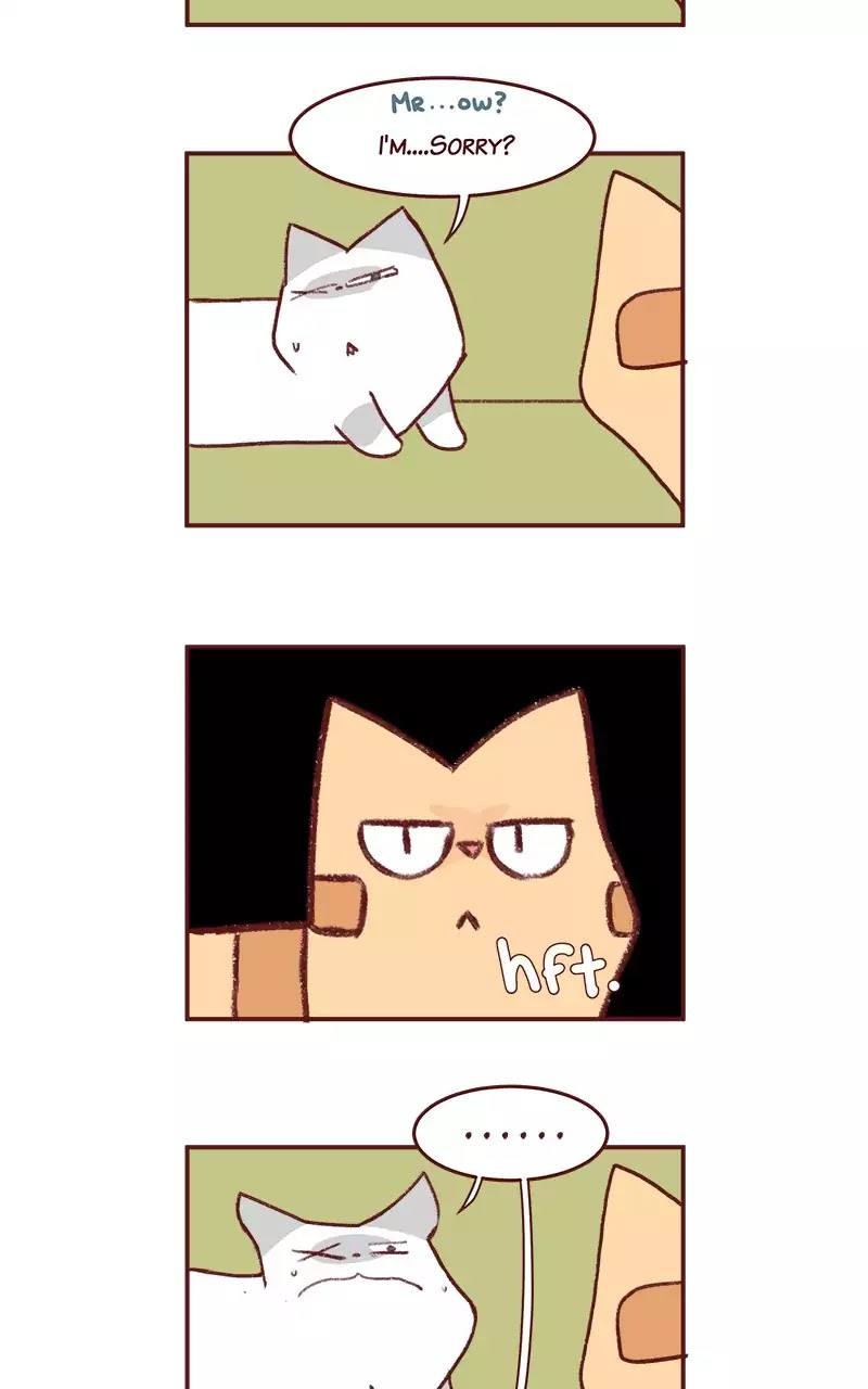 Saphie: The One-Eyed Cat Chapter 188 page 6 - Chapter 188: Frame the Annoyance