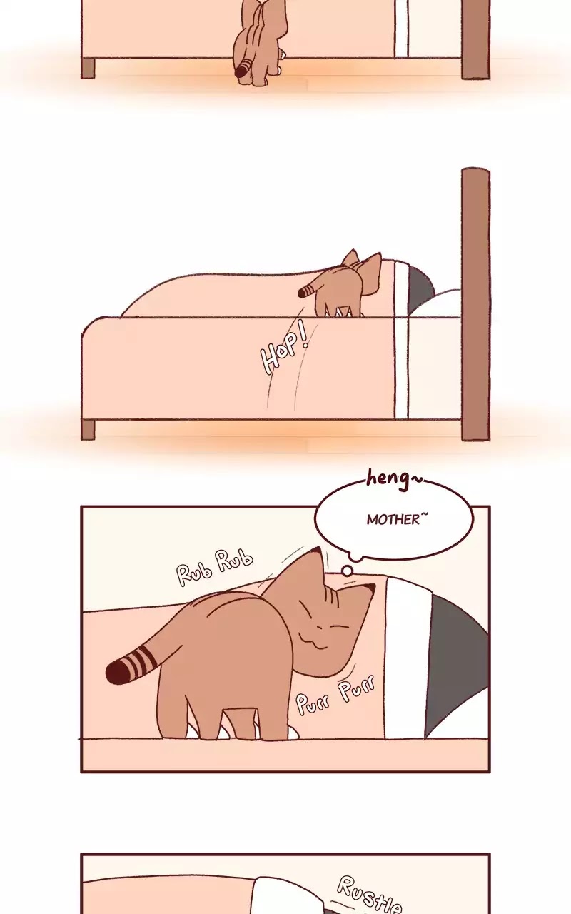 Saphie: The One-Eyed Cat Chapter 189 page 2 - Chapter 189: Visiting Mother