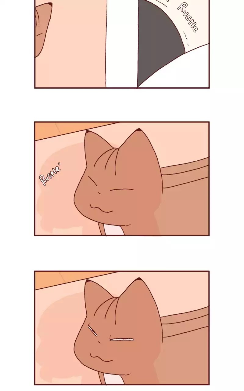 Saphie: The One-Eyed Cat Chapter 189 page 3 - Chapter 189: Visiting Mother