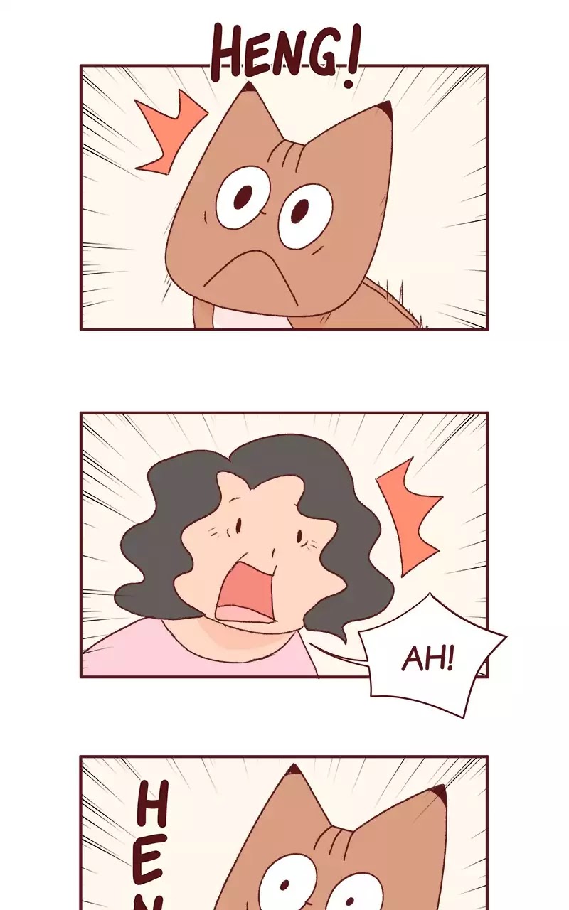 Saphie: The One-Eyed Cat Chapter 189 page 4 - Chapter 189: Visiting Mother