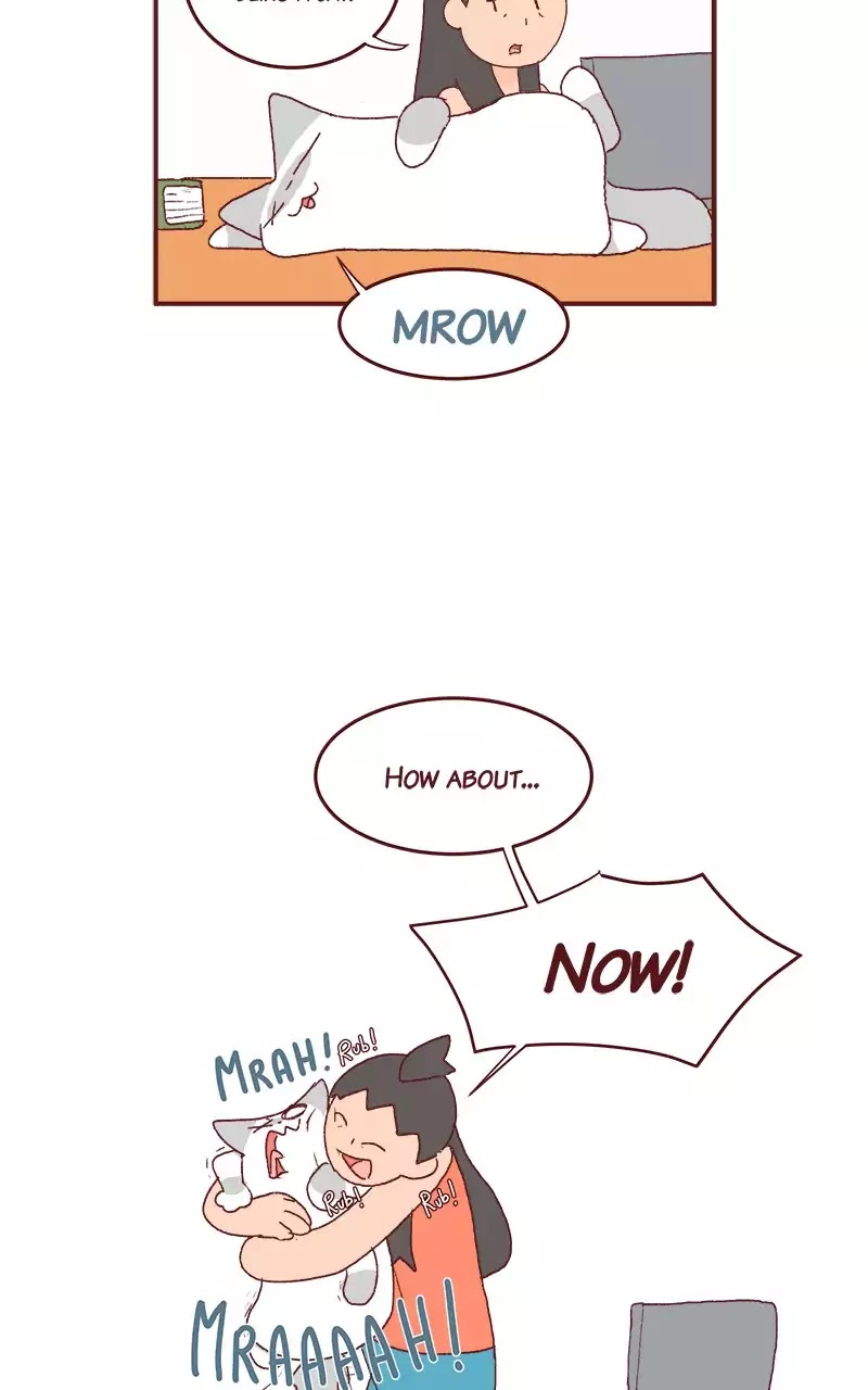 Saphie: The One-Eyed Cat Chapter 191 page 5 - Chapter 191: Must Be Nice