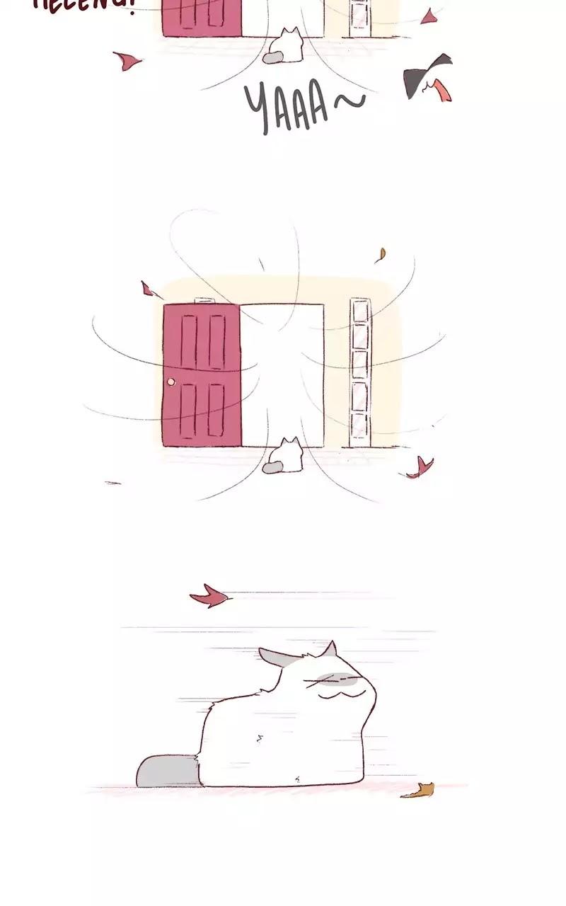 Saphie: The One-Eyed Cat Chapter 192 page 5 - Chapter 192: Storm