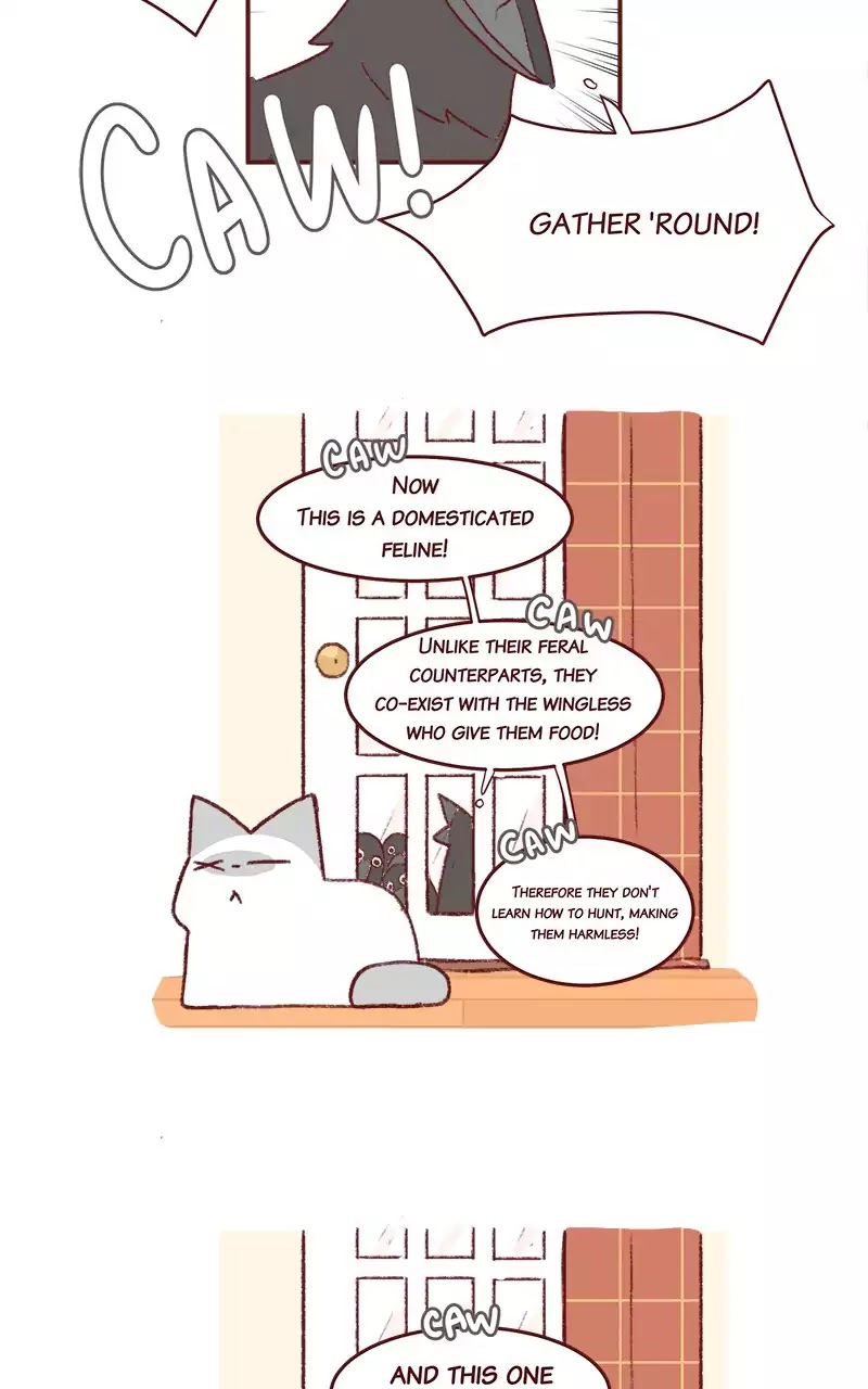 Saphie: The One-Eyed Cat Chapter 195 page 4 - Chapter 195: Caw