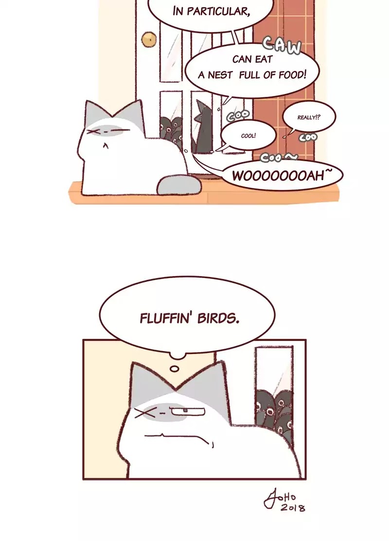 Saphie: The One-Eyed Cat Chapter 195 page 5 - Chapter 195: Caw