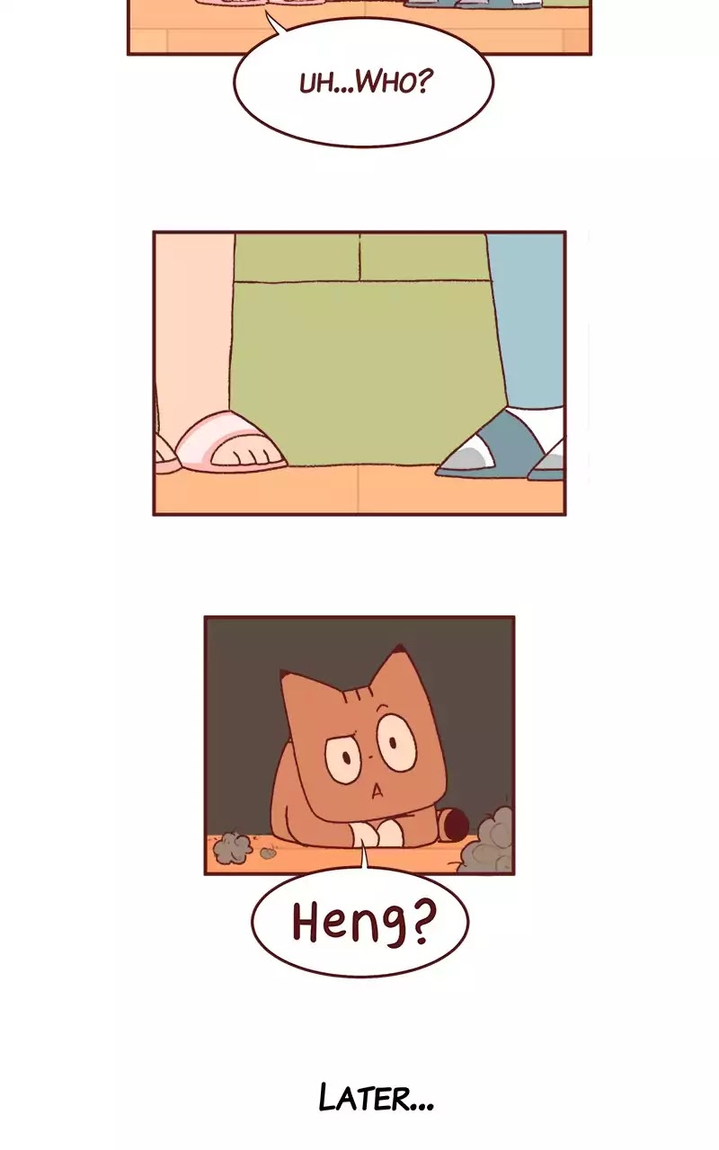 Saphie: The One-Eyed Cat Chapter 196 page 3 - Chapter 196: Name