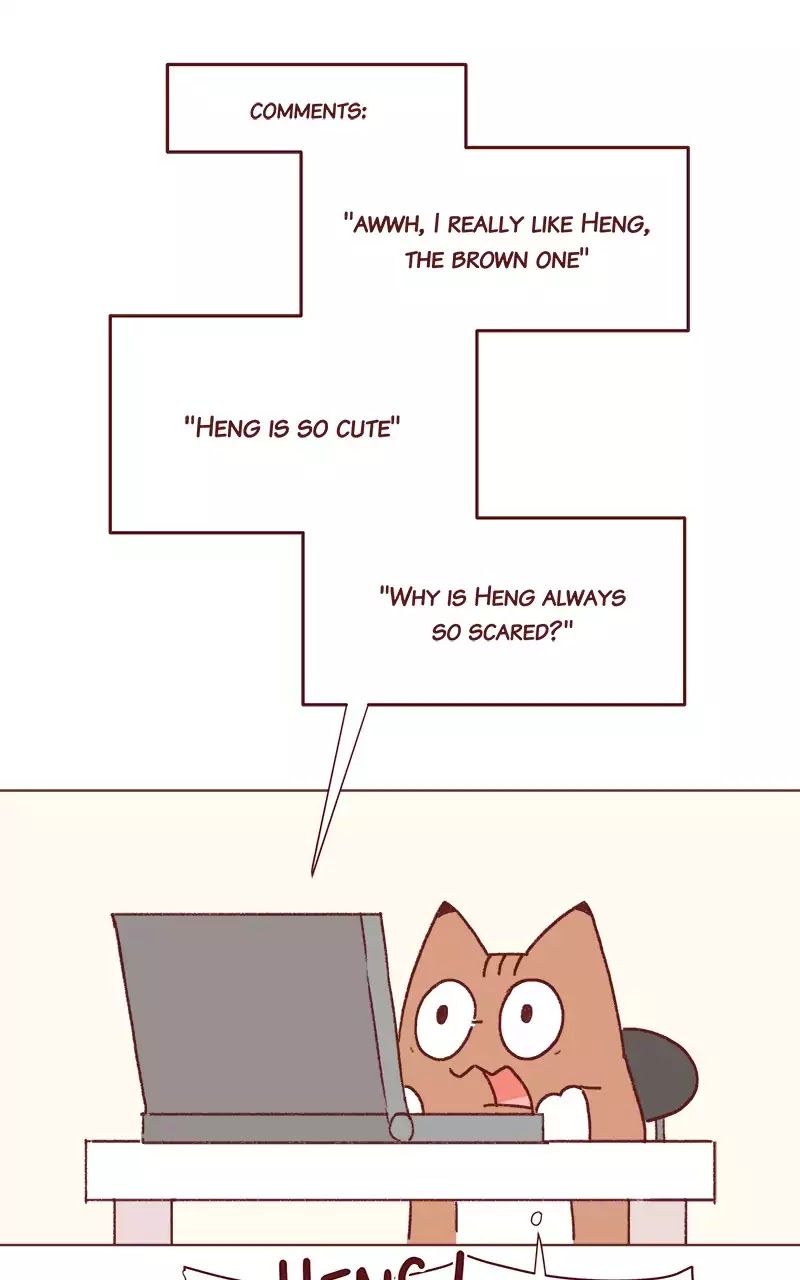 Saphie: The One-Eyed Cat Chapter 196 page 4 - Chapter 196: Name