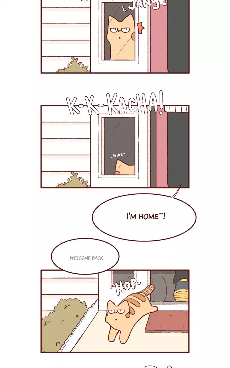 Saphie: The One-Eyed Cat Chapter 197 page 3 - Chapter 197: Spring