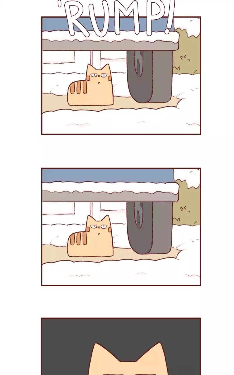 Saphie: The One-Eyed Cat Chapter 197 page 4 - Chapter 197: Spring