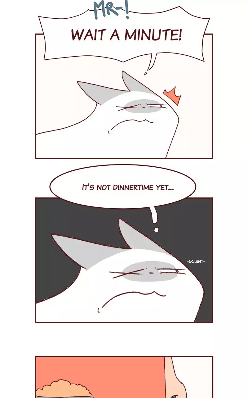 Saphie: The One-Eyed Cat Chapter 198 page 3 - Chapter 198: Hidden Meaning