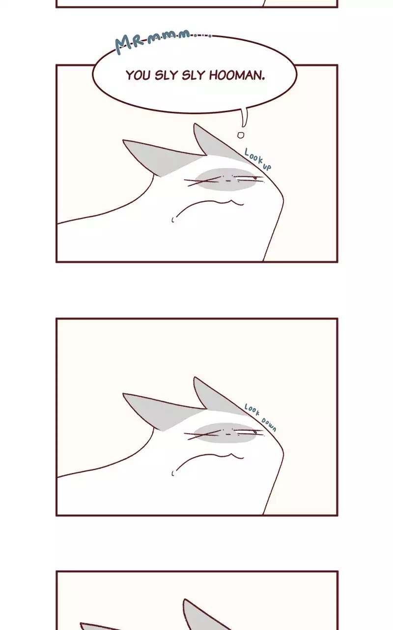 Saphie: The One-Eyed Cat Chapter 198 page 5 - Chapter 198: Hidden Meaning