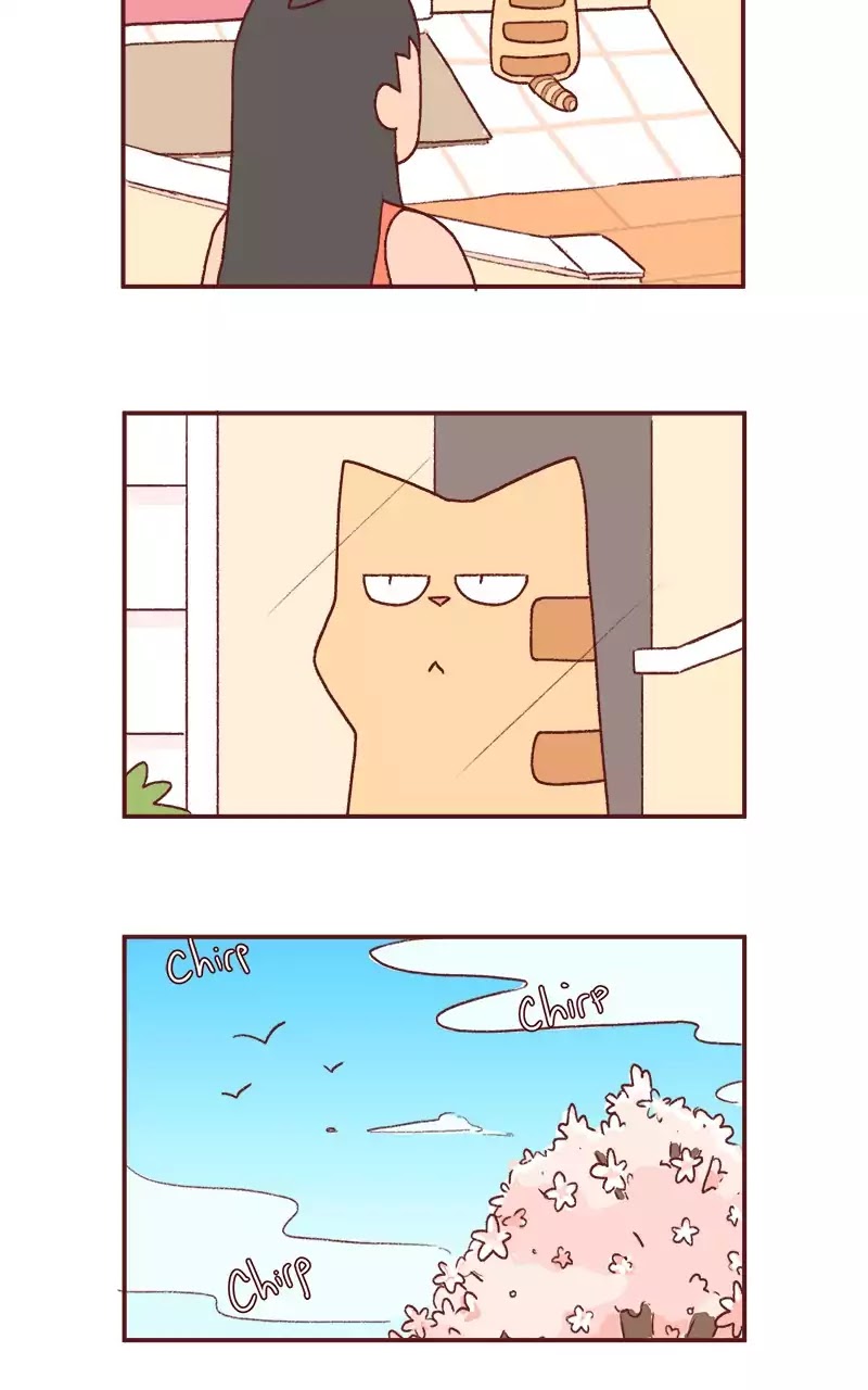 Saphie: The One-Eyed Cat Chapter 199 page 3 - Chapter 199: Longing