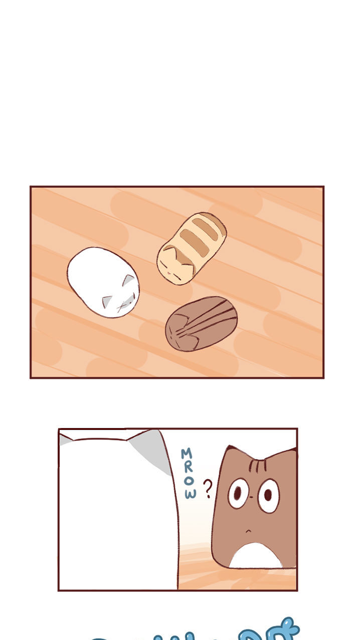 Saphie: The One-Eyed Cat Chapter 2 page 2 - Chapter 2