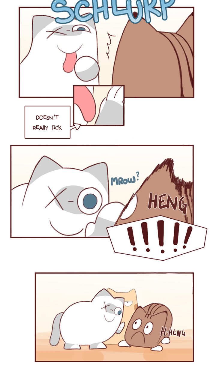 Saphie: The One-Eyed Cat Chapter 2 page 3 - Chapter 2