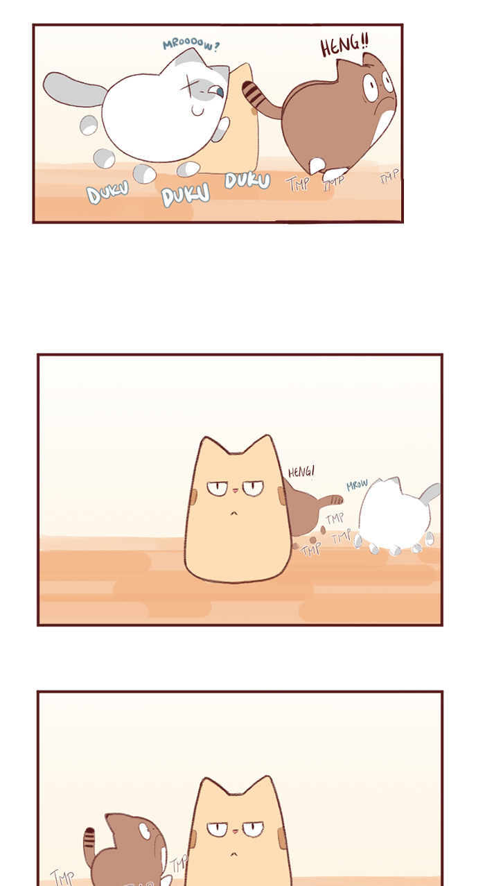 Saphie: The One-Eyed Cat Chapter 2 page 4 - Chapter 2