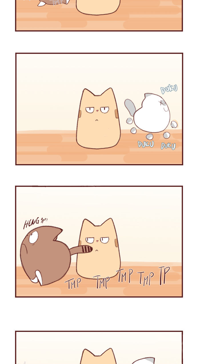 Saphie: The One-Eyed Cat Chapter 2 page 5 - Chapter 2