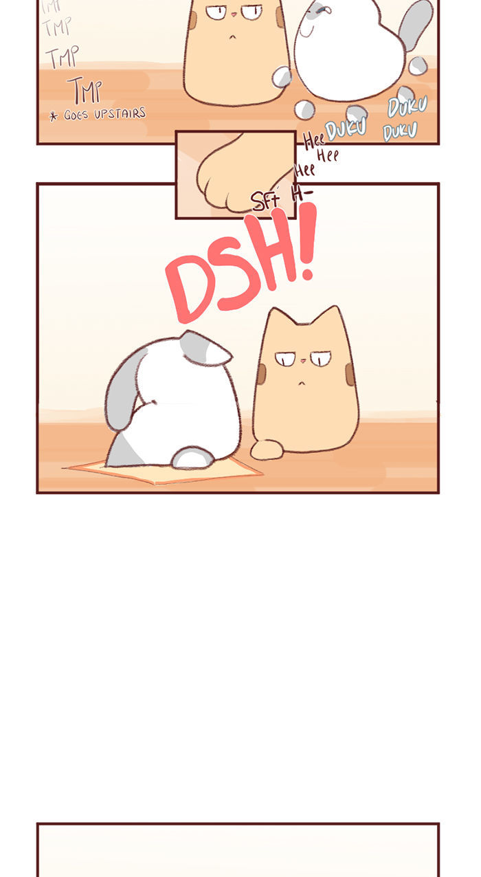 Saphie: The One-Eyed Cat Chapter 2 page 6 - Chapter 2