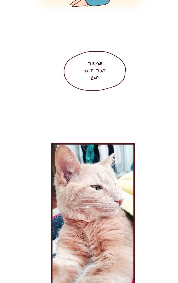 Saphie: The One-Eyed Cat Chapter 20 page 5 - Chapter 20