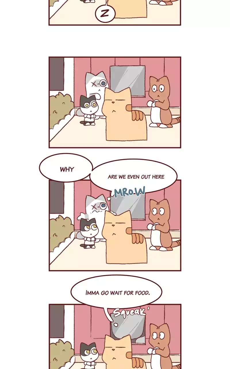 Saphie: The One-Eyed Cat Chapter 200 page 11 - Chapter 200: Opening