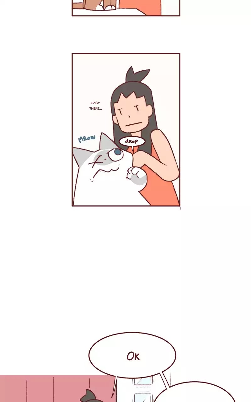 Saphie: The One-Eyed Cat Chapter 200 page 5 - Chapter 200: Opening