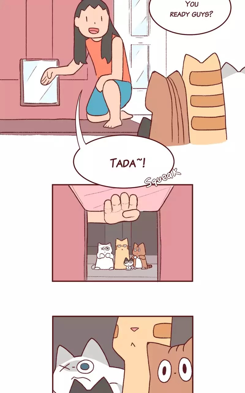 Saphie: The One-Eyed Cat Chapter 200 page 6 - Chapter 200: Opening