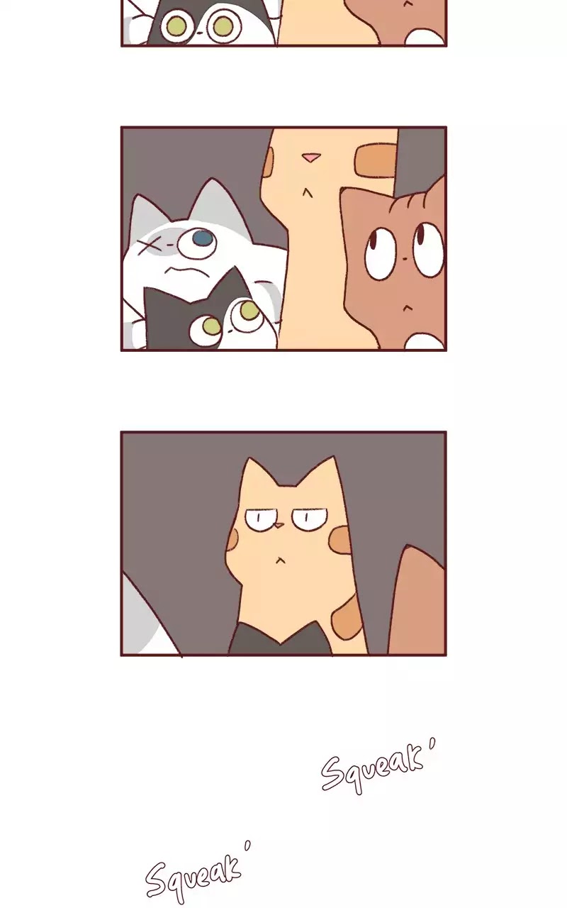 Saphie: The One-Eyed Cat Chapter 200 page 7 - Chapter 200: Opening