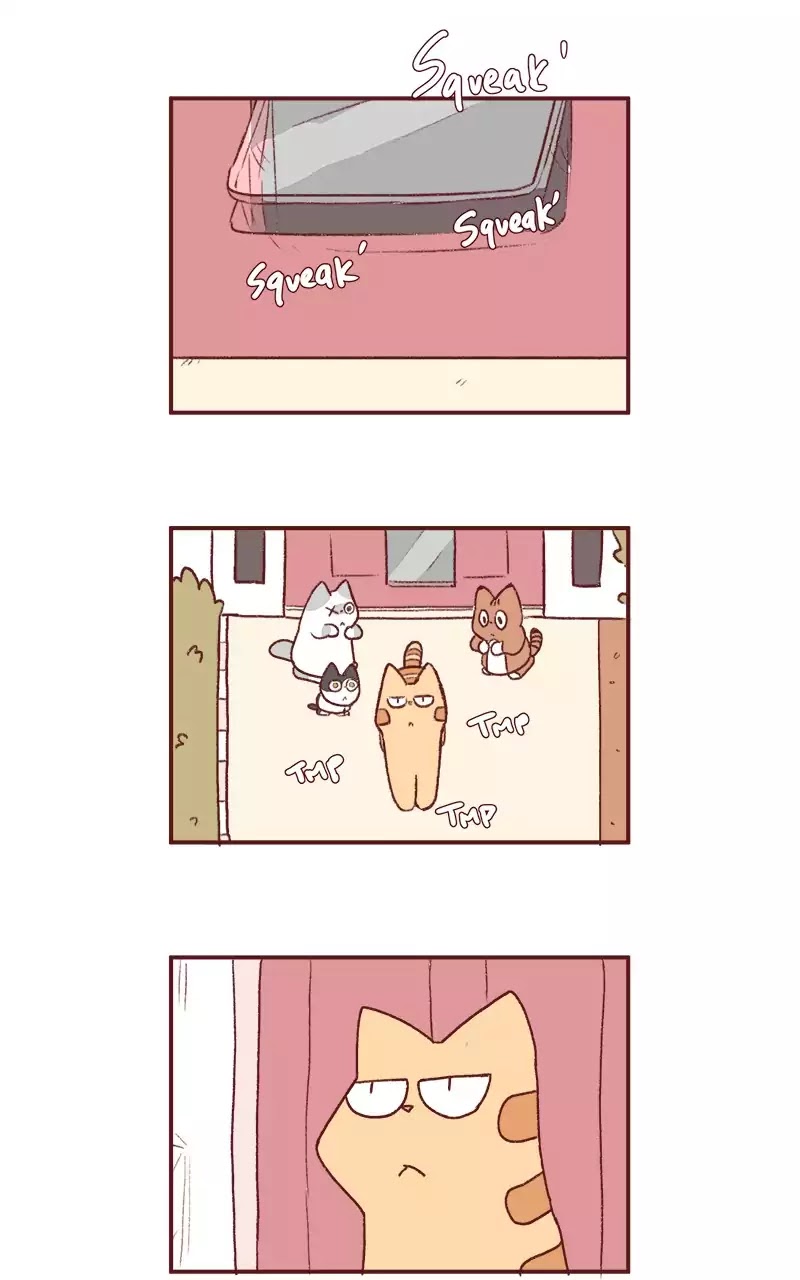 Saphie: The One-Eyed Cat Chapter 200 page 8 - Chapter 200: Opening