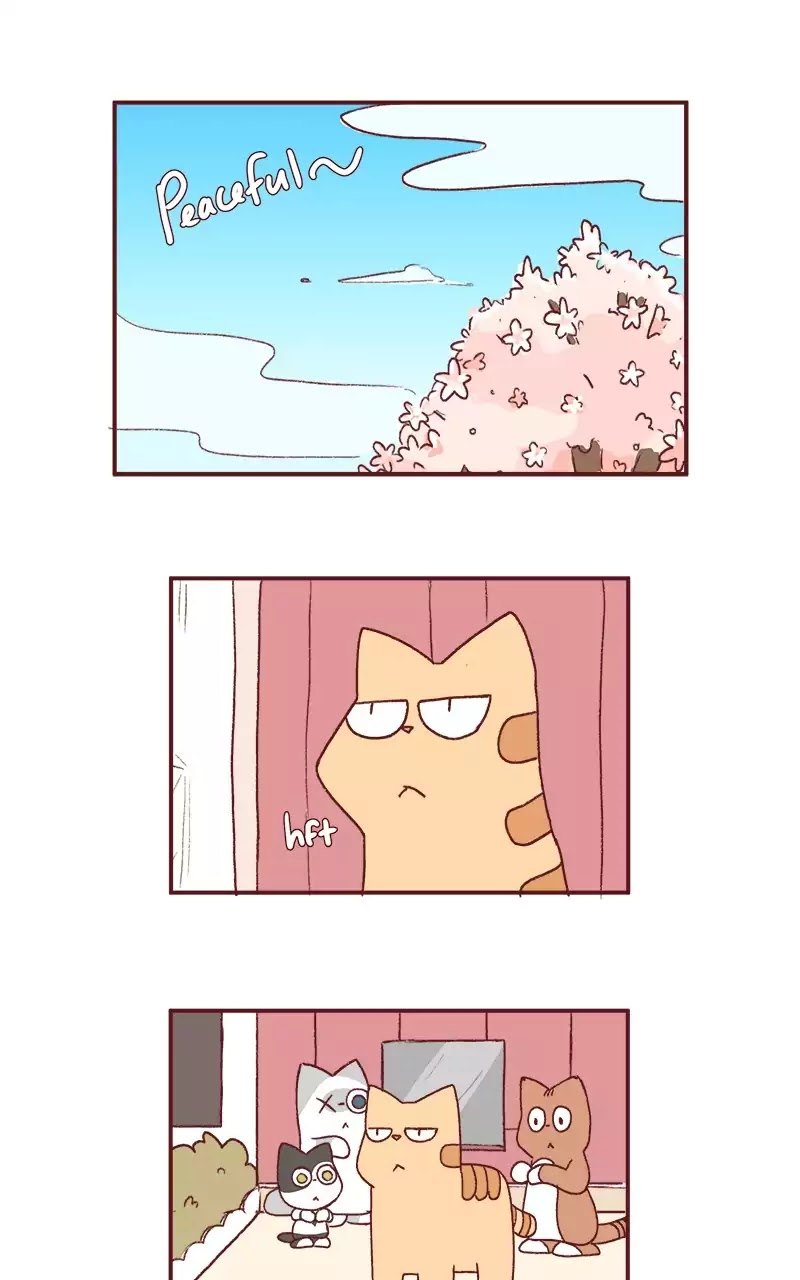 Saphie: The One-Eyed Cat Chapter 200 page 9 - Chapter 200: Opening