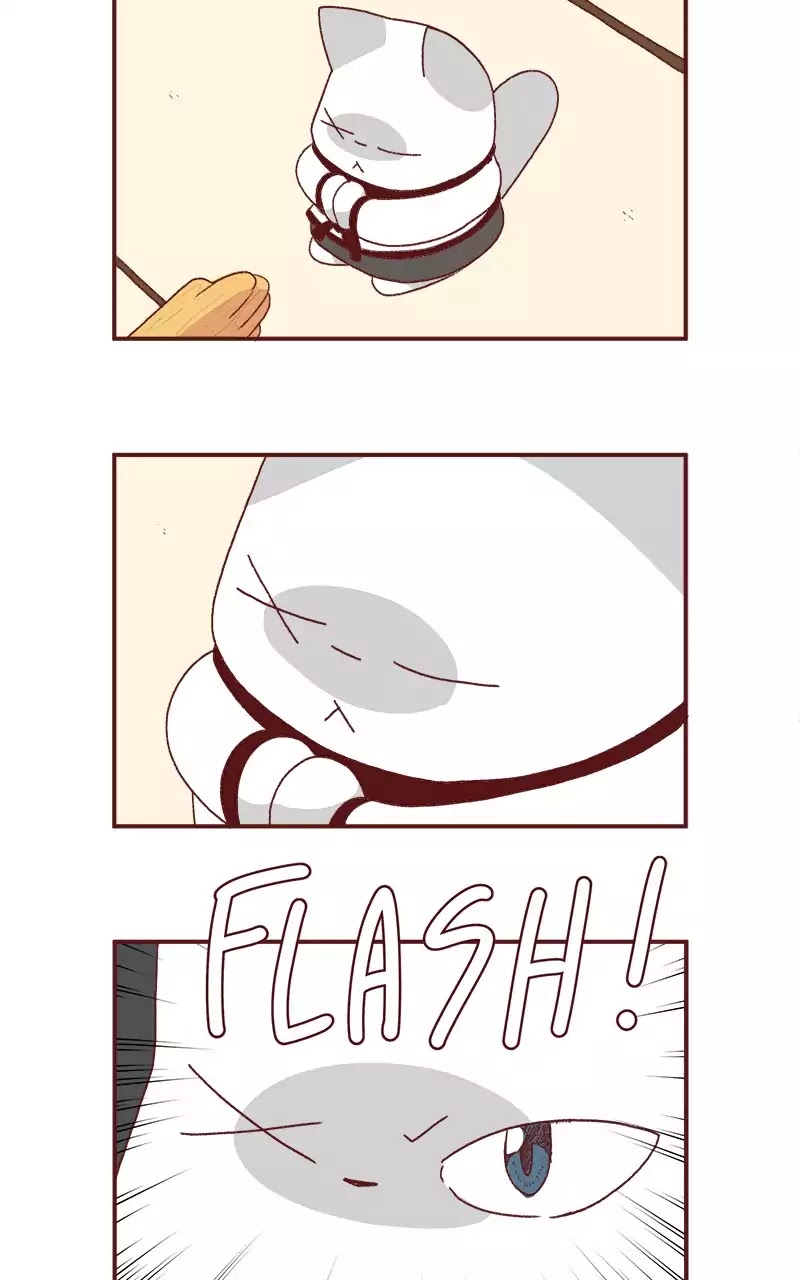 Saphie: The One-Eyed Cat Chapter 202 page 3 - Chapter 202: Dojo