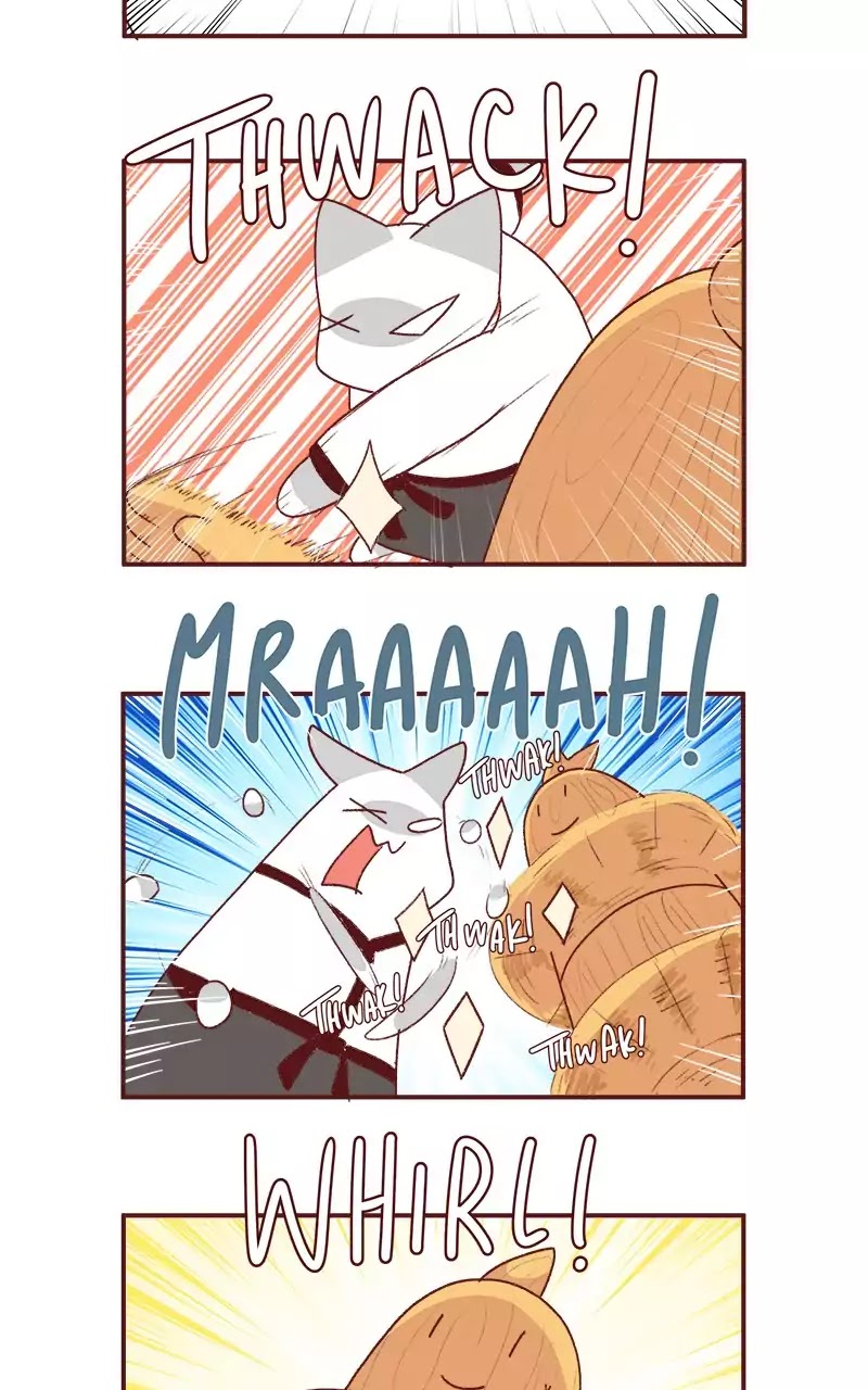 Saphie: The One-Eyed Cat Chapter 202 page 4 - Chapter 202: Dojo